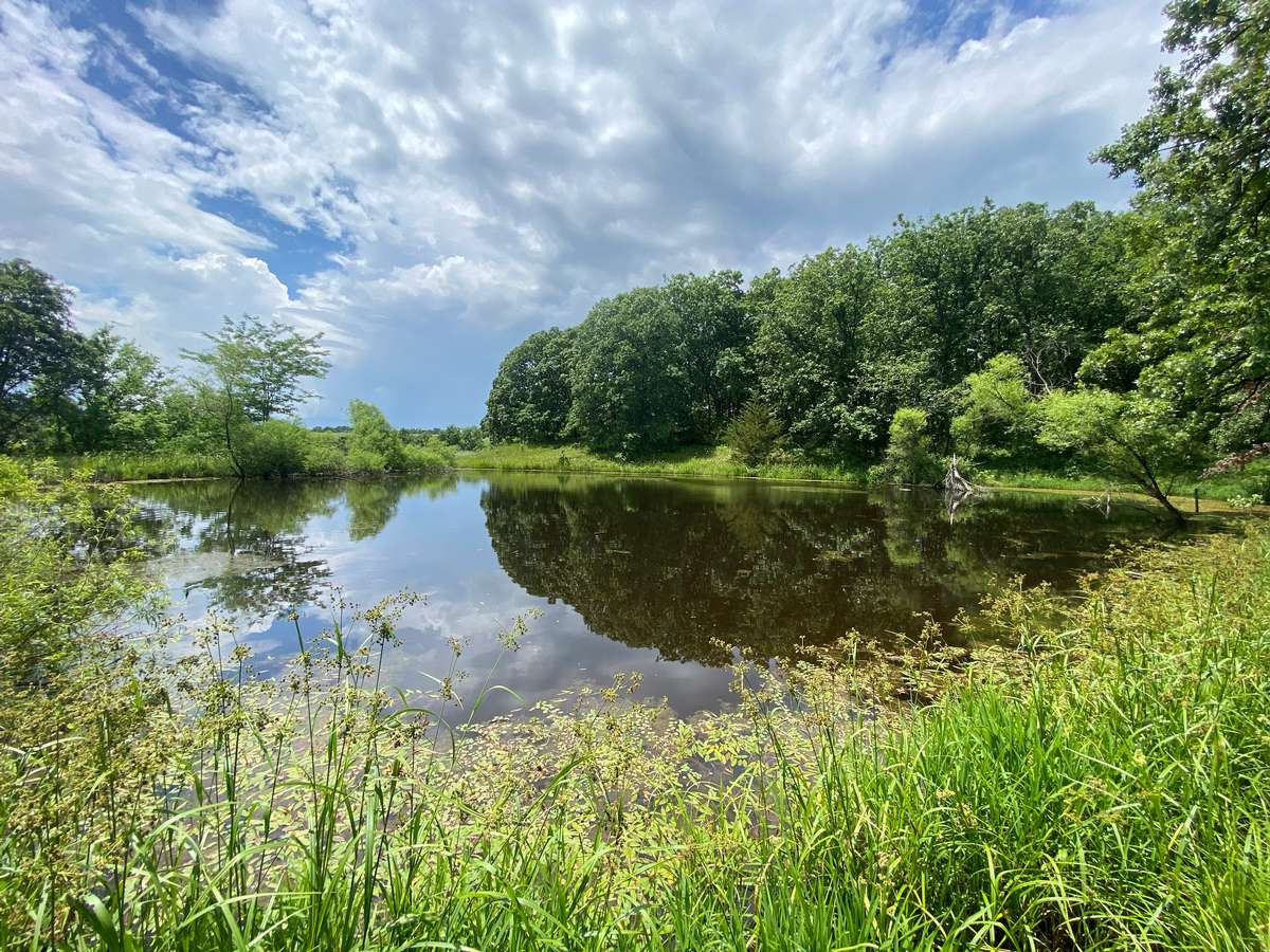 Buying Land in Missouri